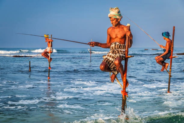 Local Charter Fishing Near Me with Expert Captains