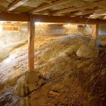 Check This Out Real Success Stories from Our Crawl Space Projects