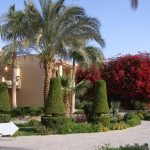 Behind Every Rating Lies a Story in Westgate Resorts Reviews